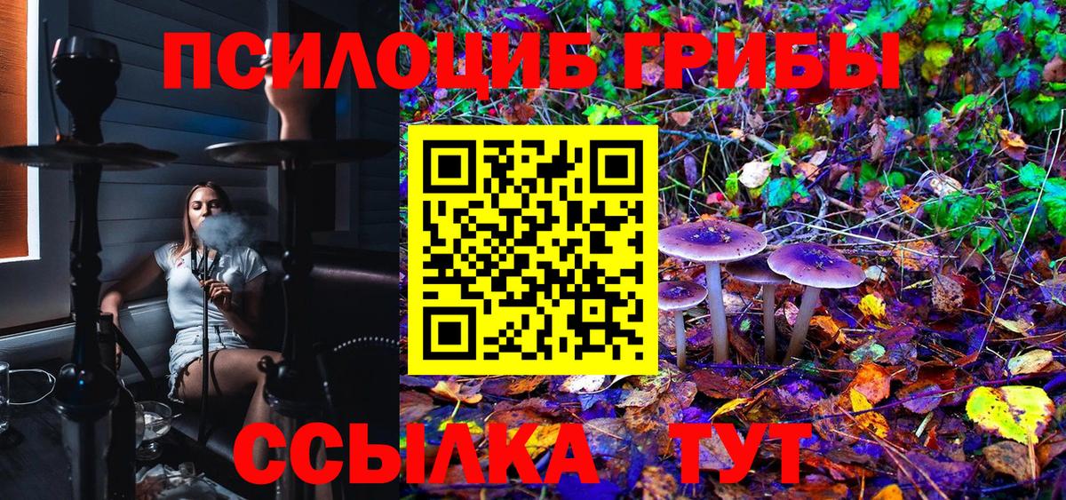 Галлюциногенные грибы мицелий Ачхой-Мартан